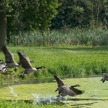 B&B Park7 Wavre - Leuven Huldenberg エクステリア 写真