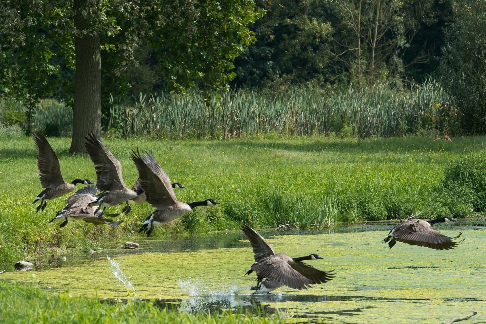 B&B Park7 Wavre - Leuven Huldenberg エクステリア 写真